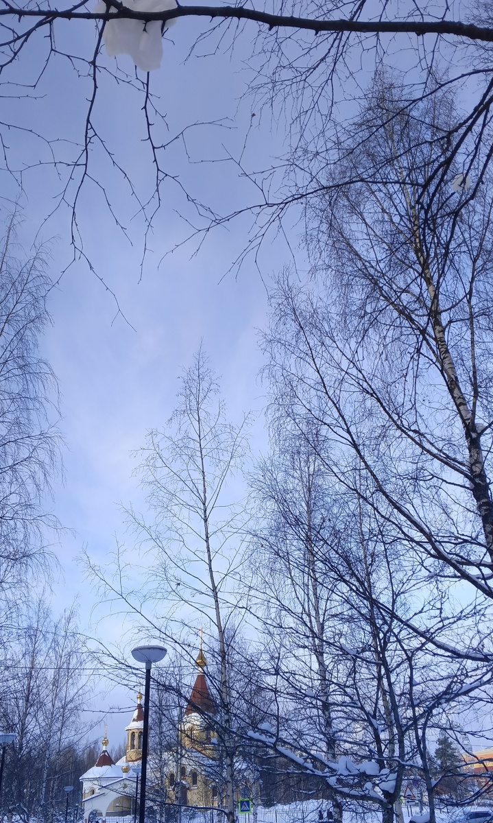 Жизненные открытия на пенсии: как замедление стало ключом к счастью