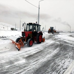 Арттар ажыр оруктарда харны аштап турар