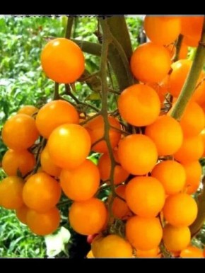 ����� ������ ������: ��� �������� ������ ������ ����� ������