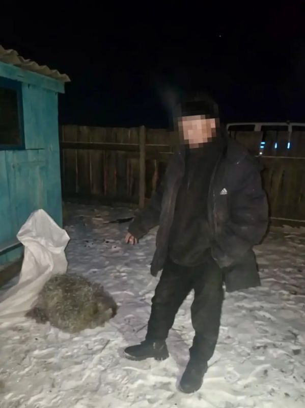 Сотрудники полиции раскрыли факт кражи скота в Бай-Тайгинском районе