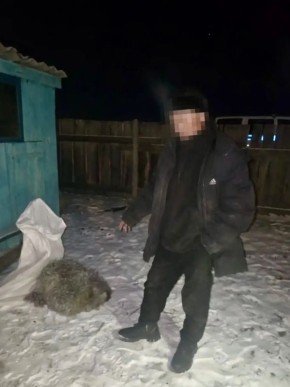 ���������� ������� �������� ���� ����� ����� � ���-���������� ������