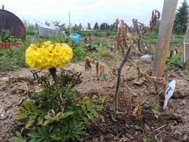 ����� ������ ���������� ������: ��� ���������� ��������� ��������� ��������� �����