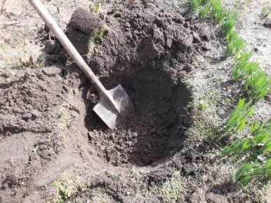 �������: ��� ��������� �������� ����� � �� �������� ������ ������