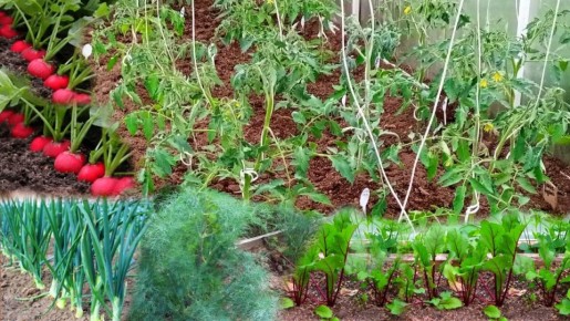 �������� �� ������: ��� ��������� ������ ������ ������ � ������