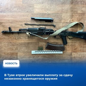 По поручению Главы Тувы Владислава Ховалыга в республике увеличен размер вознаграждения гражданам, сдавшим незаконно хранящееся у них оружие