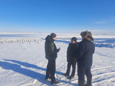 ����-������� ���� ������ ������ ����������� � ����� ����� �� ���������� ���� ������ �� ����� ���-����