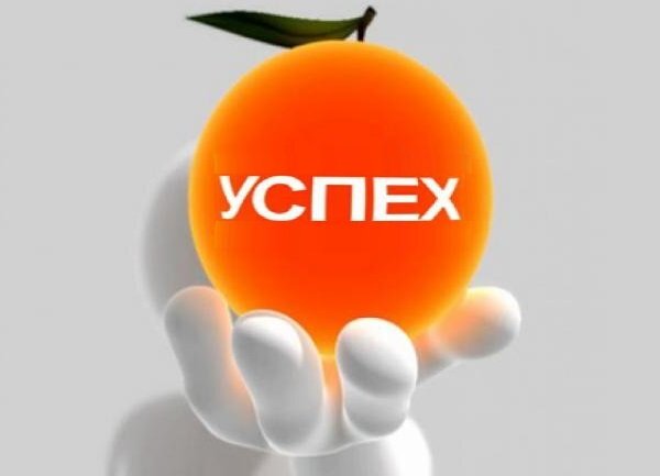 Как стать успешным: десять простых правил