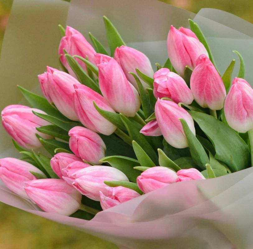 � ���������� �������������� �������� ��� ������������ ���������� ����������� ���� ������ � ����������� ���������� �����!