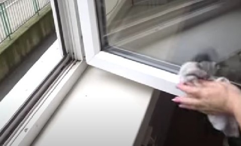 ��� ������ � ���������� ������� ������� � ����: 14 ���������