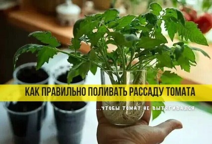 ����� ������: ��� ���������� ������� ������� ������ ����� � ������������� �� �����������