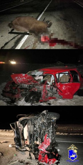 ���������, ������� �����!. ������ ��� � ����: �������� Honda ���� ������, ����� ���� ������ � ���� � ������� ��� ��������, �����, ������� �����, ����������