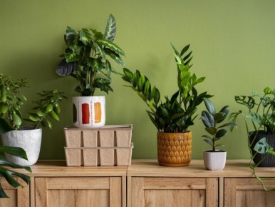 ����������� ������� ������ � ������� � ���������� ������������� � ���������