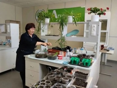 ���� ������� ���� �������� ����� 2,5 ������ �������� � �������� ��������