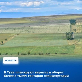 ������� ���� �������� � 2026 ���� �������� ������������� ��������� 10 �������� �������������������� ������