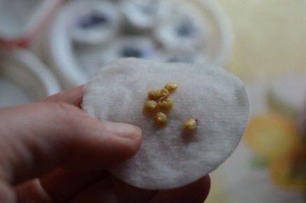 ������ �������� ��� ������ � �����: ������ � ������������