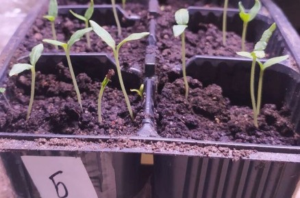 ������ � ������� ����� � ���������� �� �������� �������� ��������