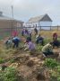 В Тес-Хемском районе сделали ставку на огородничество в Год созидательного труда