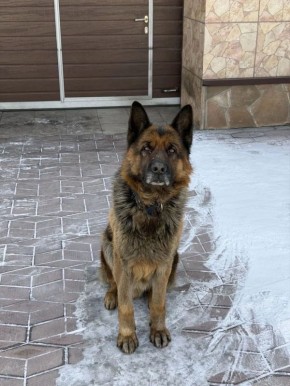 �������� ����� �����.. �������� �������, 4 ���, �������� �������, ������, �������� ������� �� ����� � ������ 17 �����