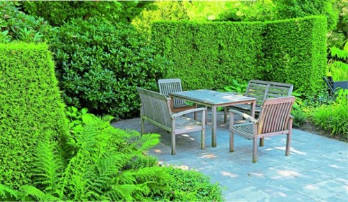 ��� �������� ��������� ����� ��� ������ � ����