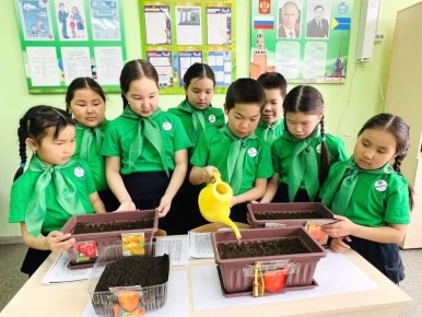 ��������� ����-�������� ������ ������� ������������� �����������