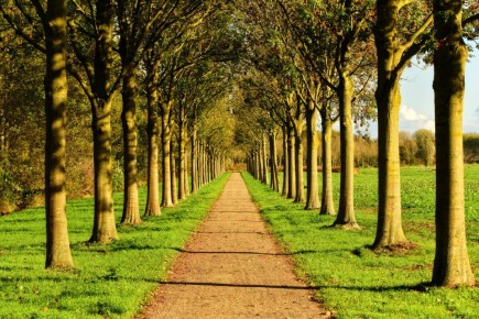 �����: ���� � ������������ ����