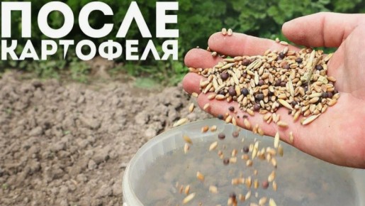 ��� �������� ������� ����� �����: ������� ������ ��� ��������� ������