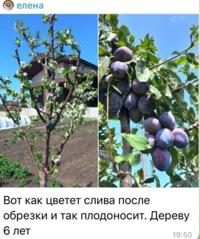 ��� ��� ������� �������� �������� ������� ����