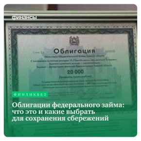 Облигации федерального займа: надежный способ сохранить свои сбережения