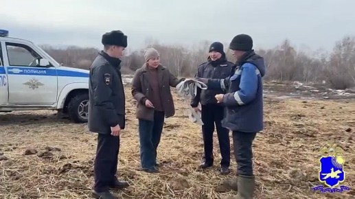 � ��������� � ����-������� ������� ����������������� �������� ������������ ���������� ���� ������������������ ����������