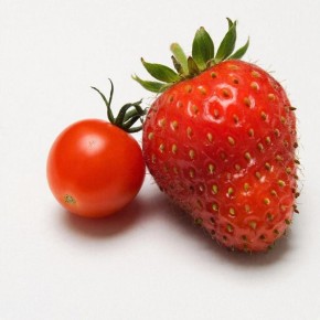 Как ботаника определяет фрукты: удивительные названия и открытия