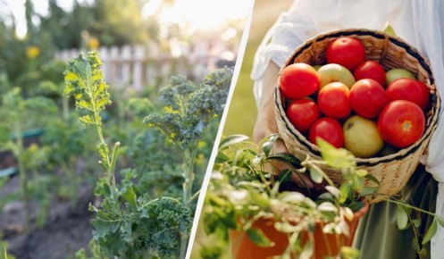 ������������ ������ ��� ���������: ��� �������� ������ ������