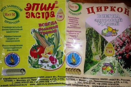 Эпин и Циркон: сравнение и советы по применению