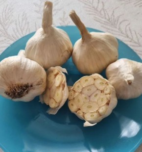 Японский секрет ясного ума: как чеснок улучшает память и здоровье