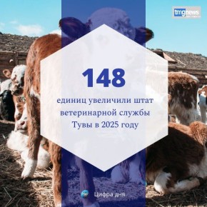 В ходе отчета о деятельности правительства за 2025 год Глава Тувы Владислав Ховалыг сообщил об укреплении ветеринарной службы республики:
