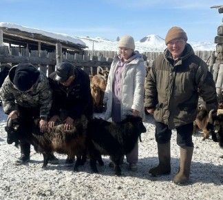 Ученые Тувы изучили генетический потенциал сельскохозяйственных животных