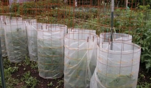 ������� � ������ �� ������� ������: ������� �� �������� ��������