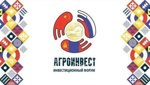 � ���� ��������� �� II ��������������� ������ �����������-2026�