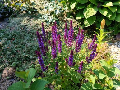 ������: ��� ����� ������� � ���� � ��� ������� ������ ���� � ��������� ���������