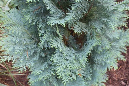 ������������ � ����: ������� ��������� � ������