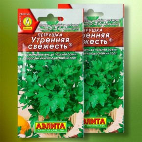 Петрушка «Утренняя свежесть» от «Аэлиты»: Зелёная находка для вашего огорода