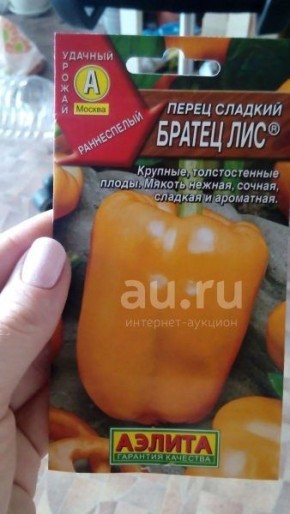 ����� ������ ���: ����� ������� ��� ������� �������