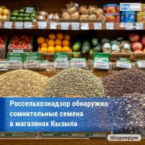 В трех магазинах Кызыла выявлены семена овощей, не внесенные в Госреестр