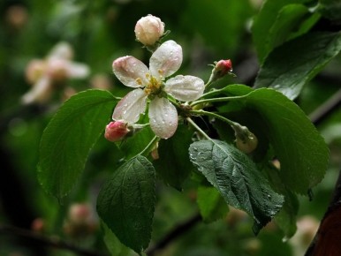 ��� ���������� � �������� ���������� ��������