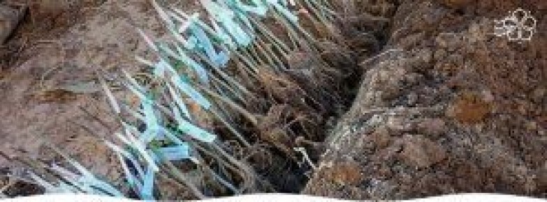 ��� ����������� ������� ��������� ������� � ����