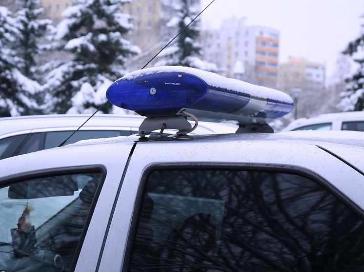 � ������ ���������� �������� ������� ���� ������ ������������