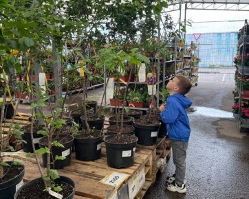 ����� � ����: ��� ��������� �������� �������� ������� � ����������