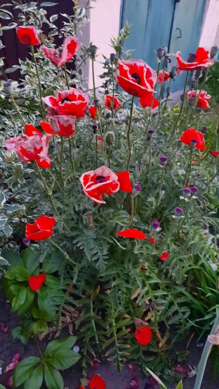 ��������� ������: �����, ����, ������ � �������� � ������� �������