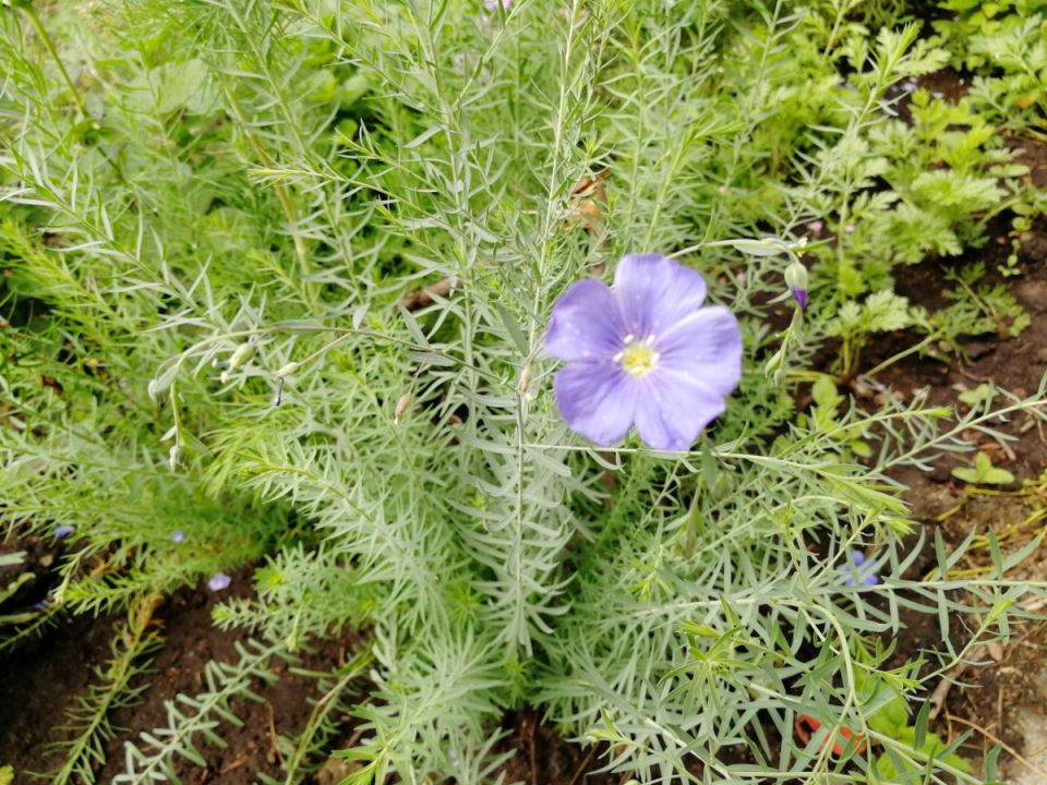 ��� �����������: �� ��������� �� ����� �� �������