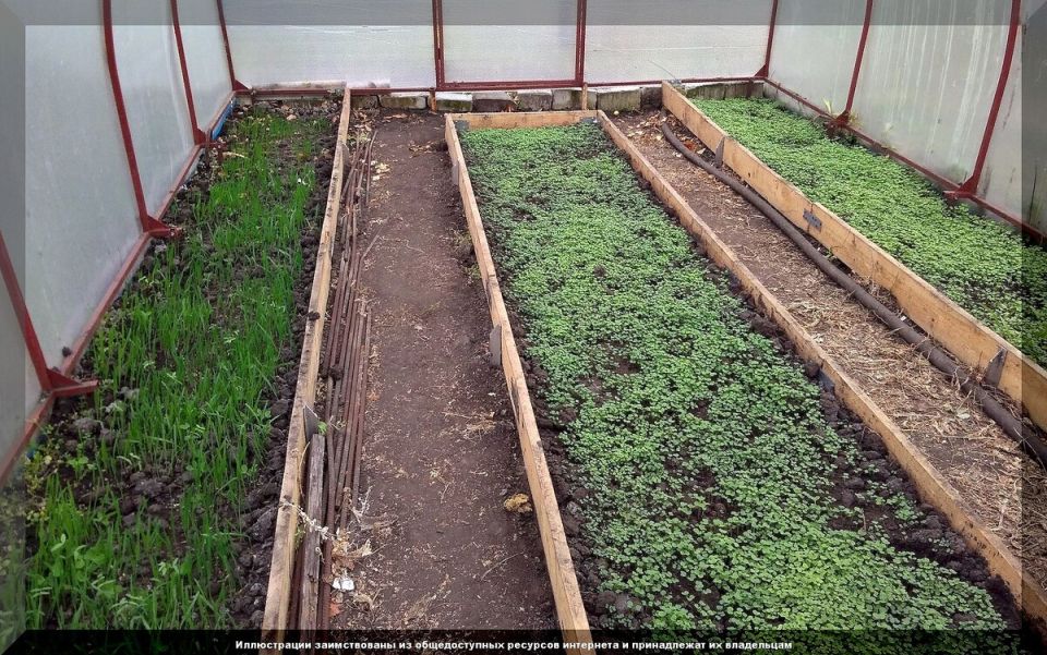 ������������ ������ ��������: ���������� � �������� ������