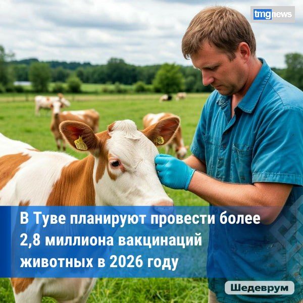 ����� 1,2 �������� ����� ����� ����������� �� ����� � ���� � 2026 ����